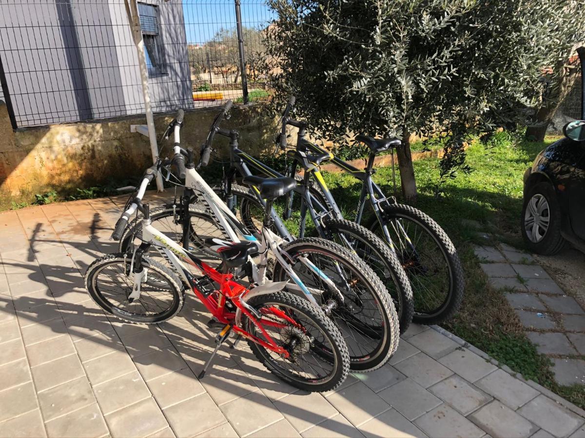 Apartment Madis & Free Bikes Pula Ngoại thất bức ảnh